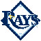  Tampa Bay Rays logo - MLB